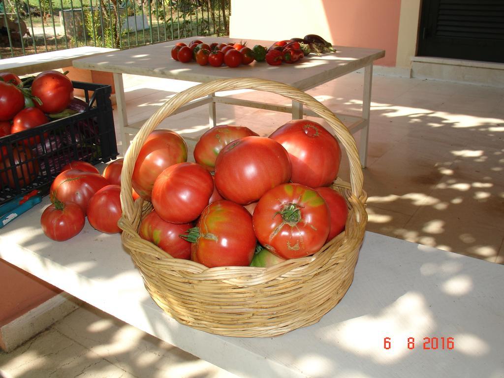 Villa Magia Ύψος Εξωτερικό φωτογραφία