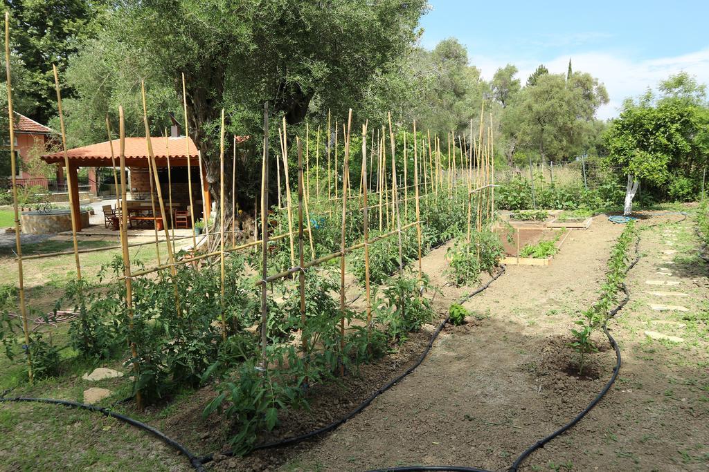 Villa Magia Ύψος Εξωτερικό φωτογραφία